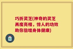 巧折灵芝(神奇的灵芝再度亮相，惊人的功效助你倍增身体健康)