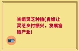 肖姐灵芝种植(肖姐让灵芝乡村振兴，发展富硒产业)