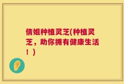 倩姐种植灵芝(种植灵芝，助你拥有健康生活！)
