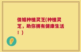 倩姐种植灵芝(种植灵芝，助你拥有健康生活！)
