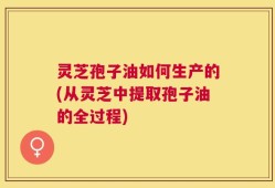 灵芝孢子油如何生产的(从灵芝中提取孢子油的全过程)