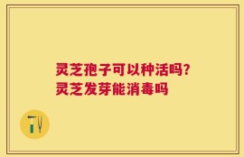 灵芝孢子可以种活吗？灵芝发芽能消毒吗