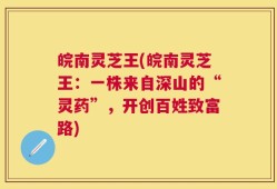 皖南灵芝王(皖南灵芝王：一株来自深山的“灵药”，开创百姓致富路)