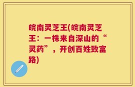 皖南灵芝王(皖南灵芝王：一株来自深山的“灵药”，开创百姓致富路)