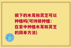 摘下的木耳和灵芝可以种植吗(可持续种植：在家中种植木耳和灵芝的简单方法)