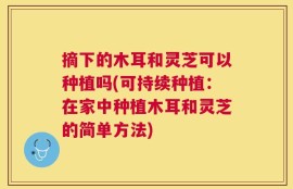 摘下的木耳和灵芝可以种植吗(可持续种植：在家中种植木耳和灵芝的简单方法)