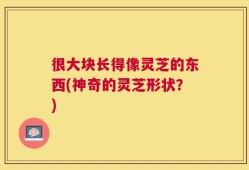 很大块长得像灵芝的东西(神奇的灵芝形状？)