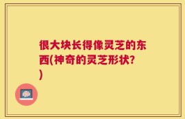 很大块长得像灵芝的东西(神奇的灵芝形状？)