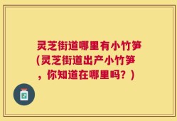 灵芝街道哪里有小竹笋(灵芝街道出产小竹笋，你知道在哪里吗？)