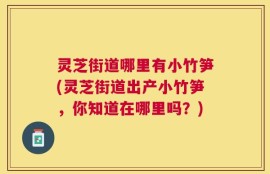 灵芝街道哪里有小竹笋(灵芝街道出产小竹笋，你知道在哪里吗？)