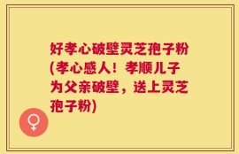 好孝心破壁灵芝孢子粉(孝心感人！孝顺儿子为父亲破壁，送上灵芝孢子粉)