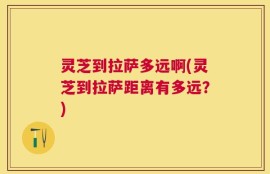 灵芝到拉萨多远啊(灵芝到拉萨距离有多远？)