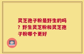 灵芝孢子粉是野生的吗？野生灵芝粉和灵芝孢子粉哪个更好