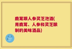鹿茸跟人参灵芝泡酒(用鹿茸、人参和灵芝酿制的美味酒品)