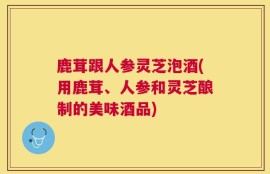 鹿茸跟人参灵芝泡酒(用鹿茸、人参和灵芝酿制的美味酒品)