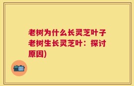 老树为什么长灵芝叶子老树生长灵芝叶：探讨原因)