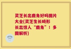 灵芝长出鹿角好吗图片大全(灵芝生长畸形 长出惊人“鹿角”！多图解析)