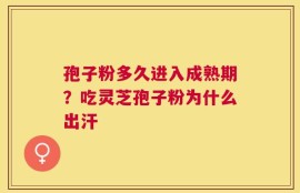 孢子粉多久进入成熟期？吃灵芝孢子粉为什么出汗