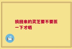 摘回来的灵芝要不要蒸一下才晒