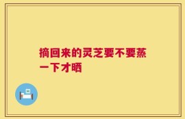 摘回来的灵芝要不要蒸一下才晒