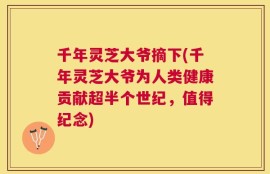 千年灵芝大爷摘下(千年灵芝大爷为人类健康贡献超半个世纪，值得纪念)