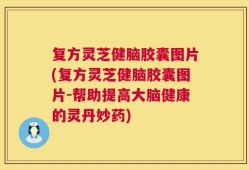 复方灵芝健脑胶囊图片(复方灵芝健脑胶囊图片-帮助提高大脑健康的灵丹妙药)