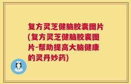 复方灵芝健脑胶囊图片(复方灵芝健脑胶囊图片-帮助提高大脑健康的灵丹妙药)