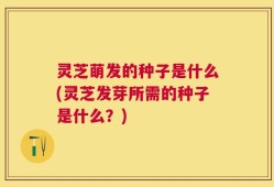 灵芝萌发的种子是什么(灵芝发芽所需的种子是什么？)