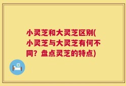小灵芝和大灵芝区别(小灵芝与大灵芝有何不同？盘点灵芝的特点)