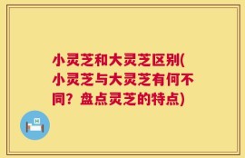 小灵芝和大灵芝区别(小灵芝与大灵芝有何不同？盘点灵芝的特点)