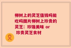 柳树上的灵芝值钱吗能吃吗图片柳树上珍贵的灵芝：珍馐美味 or 珍贵灵芝食材