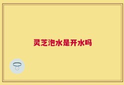 灵芝泡水是开水吗