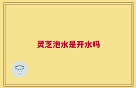 灵芝泡水是开水吗