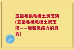 五指毛桃龟板土灵芝汤(五指毛桃龟板土灵芝汤——增强免疫力的良方)