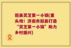 冠县灵芝第一小镇(重头戏！济南市冠县打造“灵芝第一小镇”助力乡村振兴)