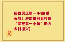 冠县灵芝第一小镇(重头戏！济南市冠县打造“灵芝第一小镇”助力乡村振兴)