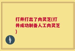 打井打出了肉灵芝(打井成功制备人工肉灵芝)