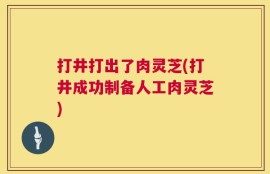 打井打出了肉灵芝(打井成功制备人工肉灵芝)
