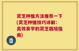 灵芝种植方法推荐一下(灵芝种植技巧详解：高效易学的灵芝栽培指南)