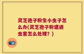 灵芝孢子粉生小虫子怎么办(灵芝孢子粉遭遇虫害怎么处理？)