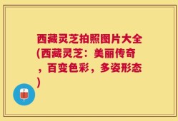 西藏灵芝拍照图片大全(西藏灵芝：美丽传奇，百变色彩，多姿形态)