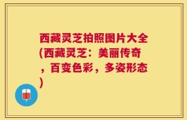 西藏灵芝拍照图片大全(西藏灵芝：美丽传奇，百变色彩，多姿形态)
