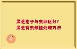 灵芝孢子与虫卵区分？灵芝有虫最佳处理方法