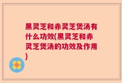 黑灵芝和赤灵芝煲汤有什么功效(黑灵芝和赤灵芝煲汤的功效及作用)