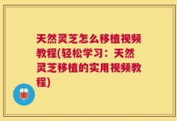 天然灵芝怎么移植视频教程(轻松学习：天然灵芝移植的实用视频教程)