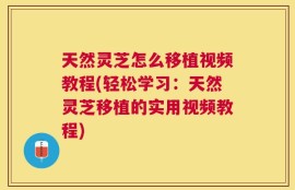 天然灵芝怎么移植视频教程(轻松学习：天然灵芝移植的实用视频教程)