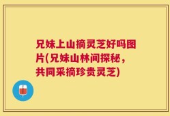 兄妹上山摘灵芝好吗图片(兄妹山林间探秘，共同采摘珍贵灵芝)