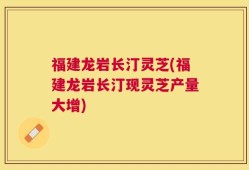 福建龙岩长汀灵芝(福建龙岩长汀现灵芝产量大增)