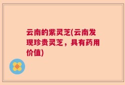 云南的紫灵芝(云南发现珍贵灵芝，具有药用价值)