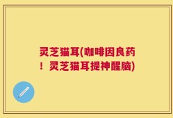 灵芝猫耳(咖啡因良药！灵芝猫耳提神醒脑)
